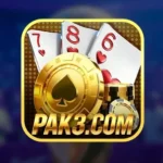 PAK3 Game