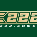 C222 Game