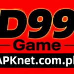 FD999 game