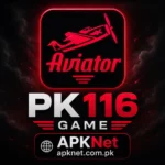 PK116 Game
